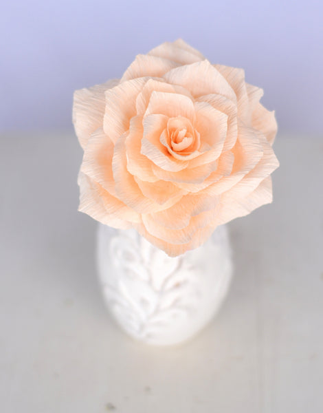 classic rose in vase