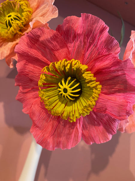 icelandic poppies arrangment