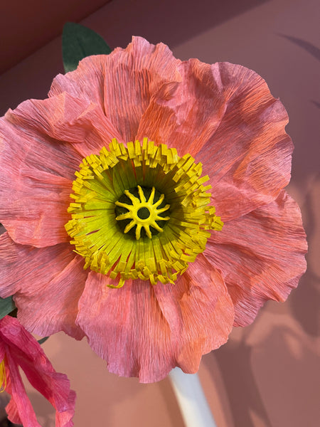 icelandic poppies arrangment