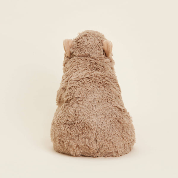 Capybara Warmies