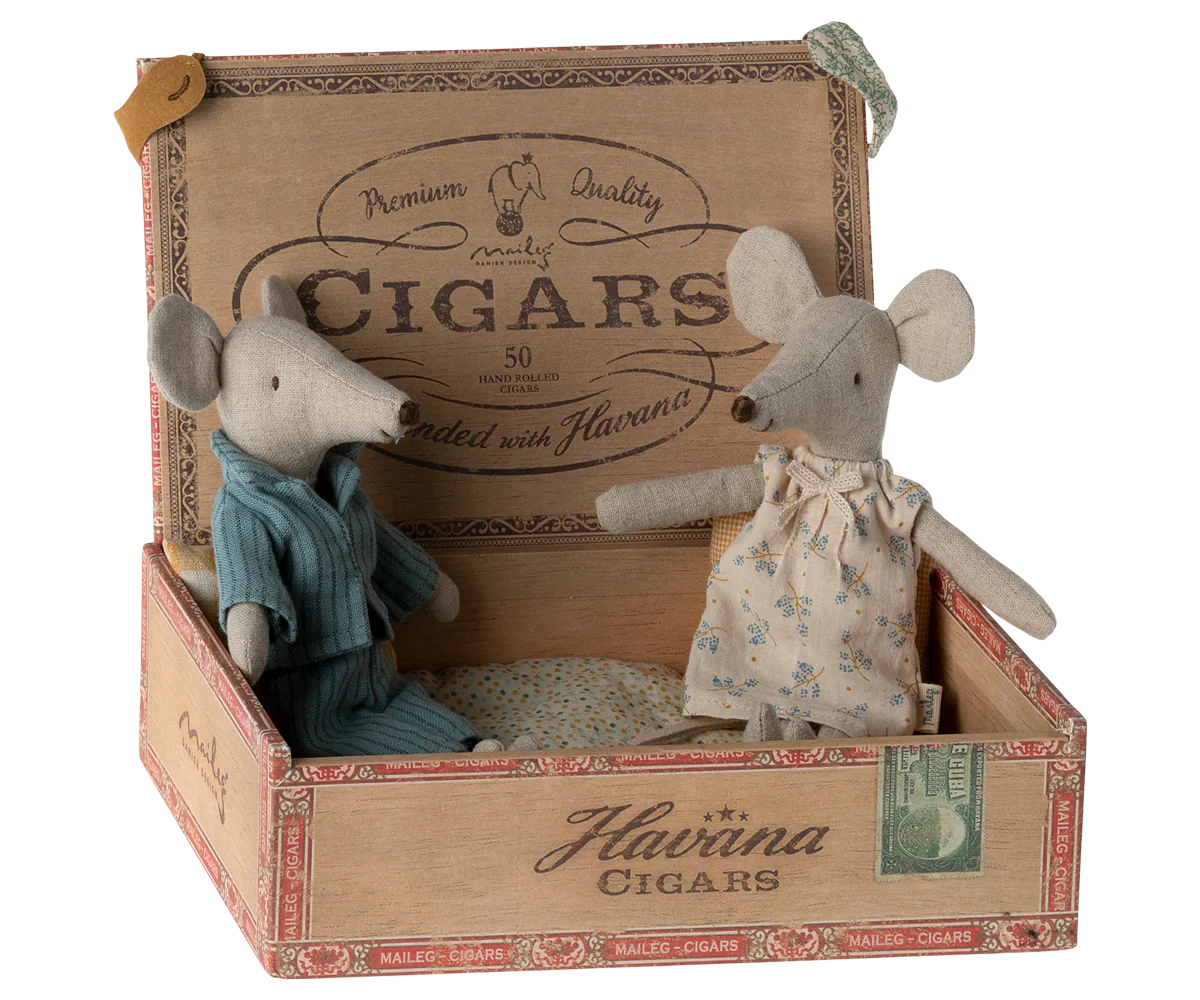 mum and dad mice in cigar box
