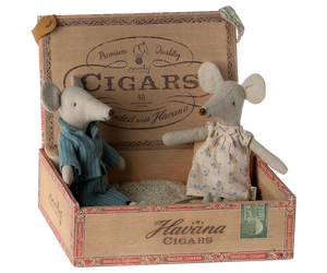 mum and dad mice in cigar box