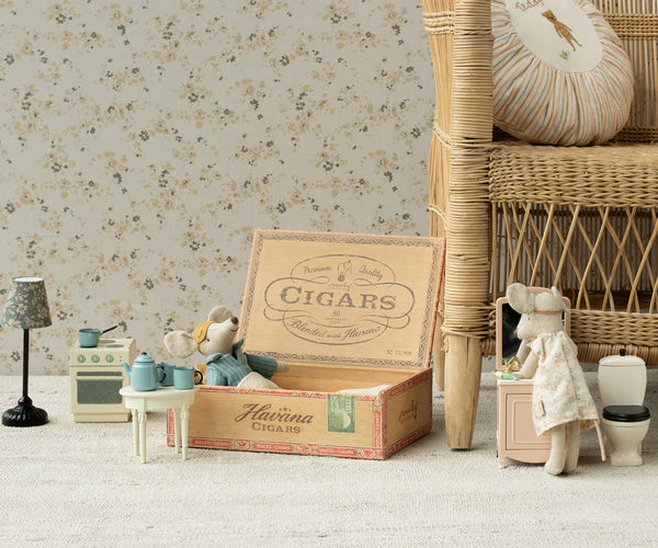 mum and dad mice in cigar box