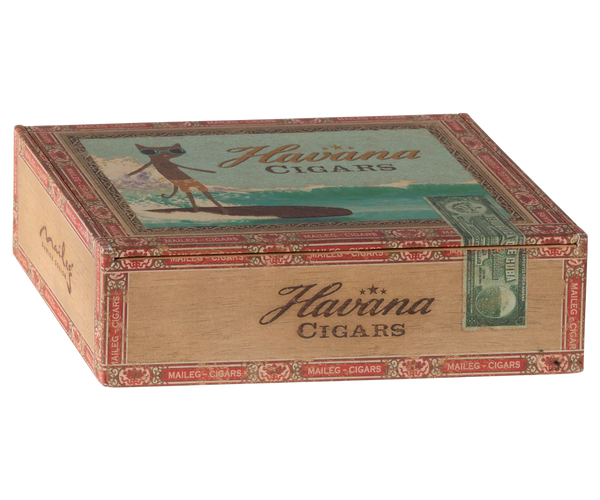 mum and dad mice in cigar box