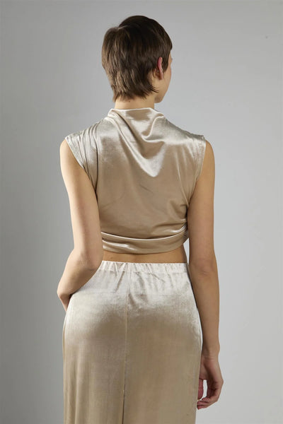 velvet sleeveless mock neck crop top