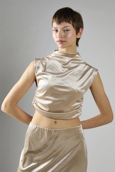 velvet sleeveless mock neck crop top