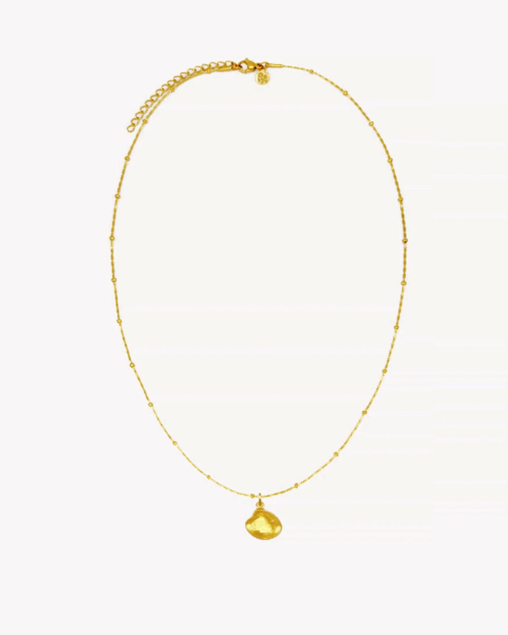 dainty shell necklace