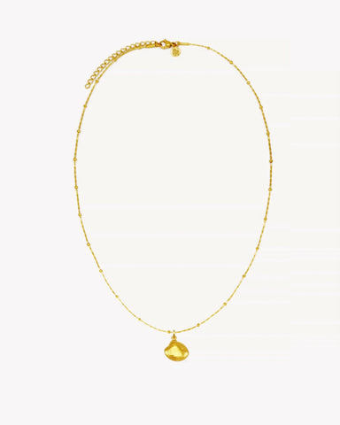 dainty shell necklace