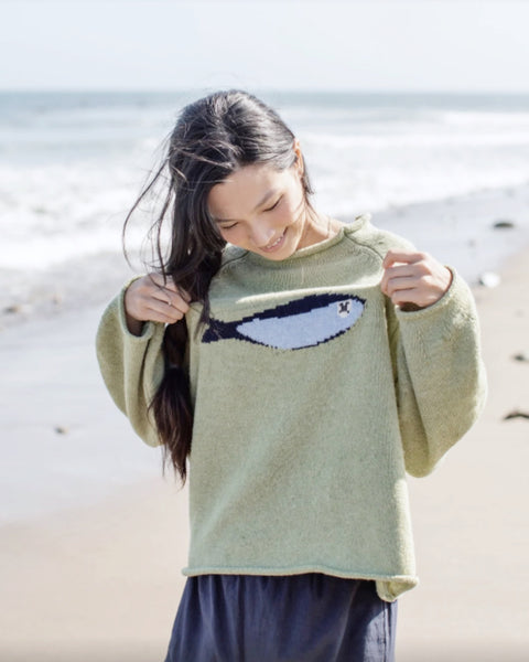 sardine sweater