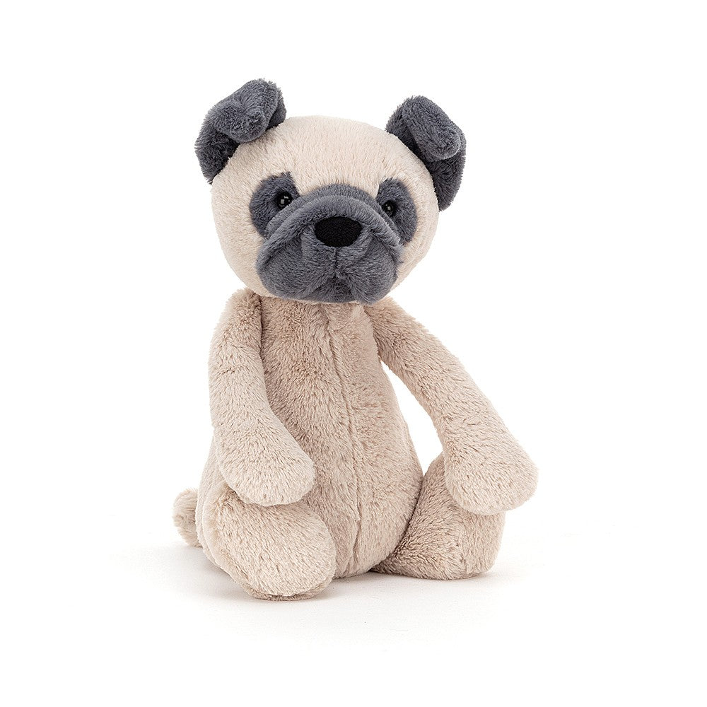 bashful pug