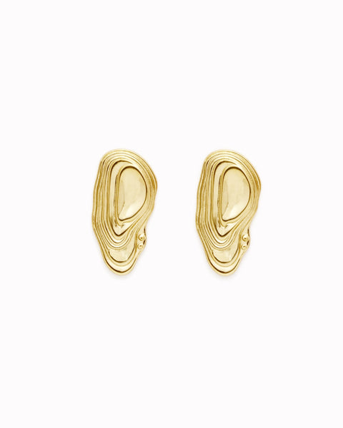 oyster stud earrings