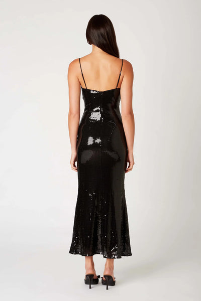 hawk sequin dress