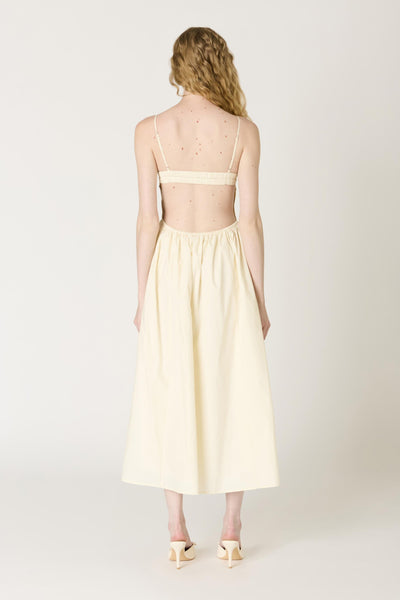 destene dress