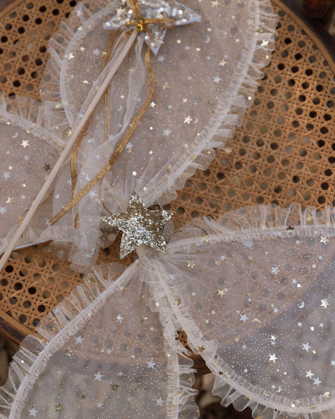 dress-up wings