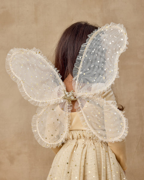 dress-up wings