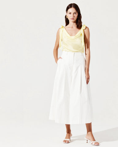 allexina top