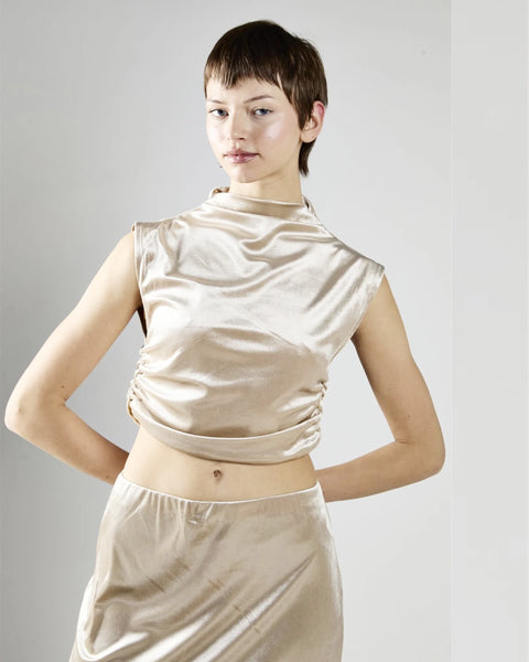 velvet sleeveless mock neck crop top