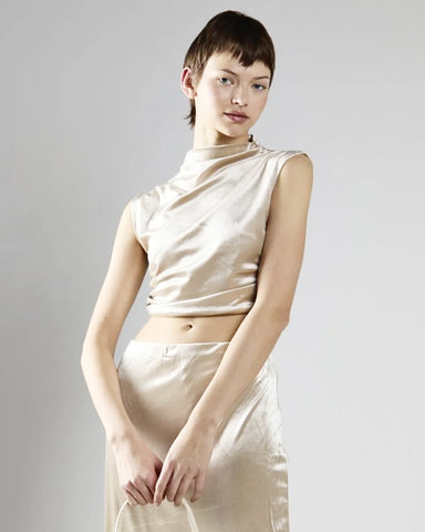 velvet sleeveless mock neck crop top