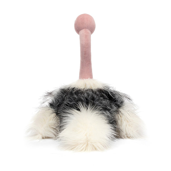 ramonda ostrich