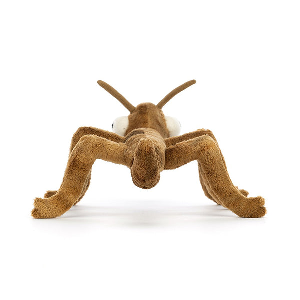 stanley stick insect