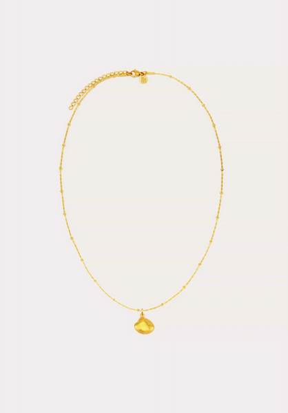 dainty shell necklace