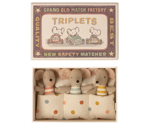 baby triplets in match box