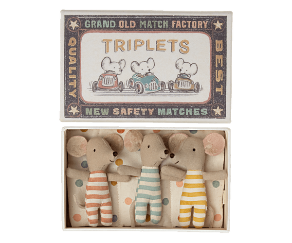 baby triplets in match box